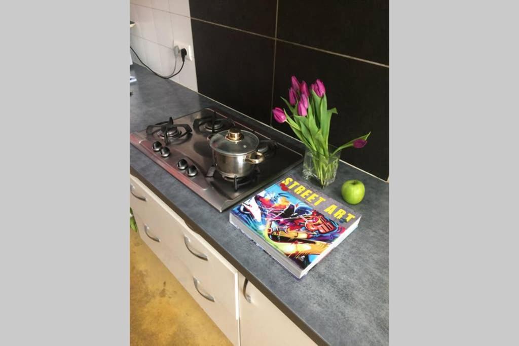 ボルドー Maison Spacieuse Avec Jardin Et Garageヴィラ エクステリア 写真